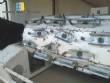 Centr�fuga industrial de ovos de p�scoa
