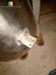 Reator de press�o para 18 L em inox