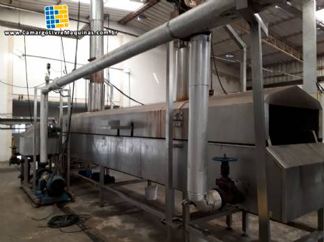 Linha cont�nua para batata chips e palha MCI 600 kg