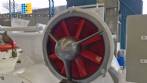 Concha universal de chocolates Mallosa 500 kg